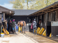 AK060423-80 - Alan King Stable Visit